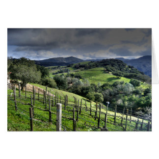 St. Helena, California Vineyard Cards
