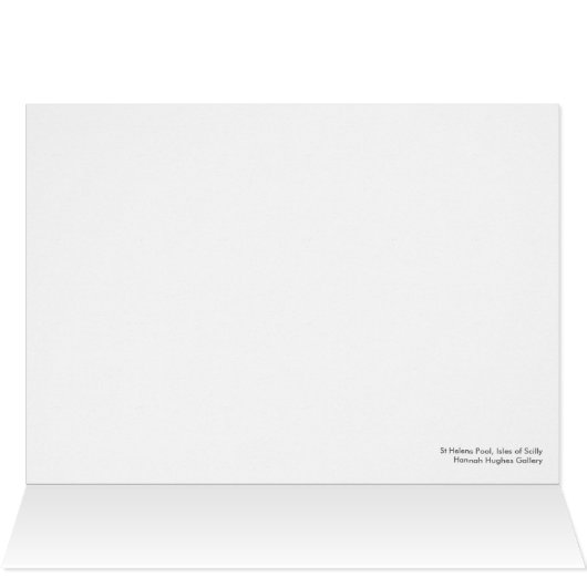 St Helens Pool, Isles of Scilly (Inside Horizontal (Top))