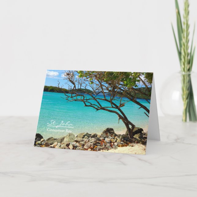 St. John Cinnamon Bay Blank Note Card (Front)