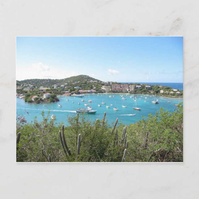St. John In the US Virgin Island Postcard (Front)