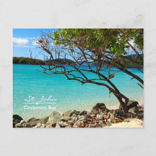 St John USVI Cinnamon Bay Beach Postcard