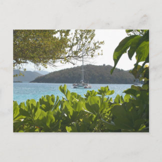 St.Johns1 Postcard