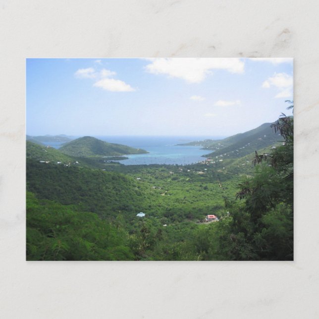 St.Johns4 Postcard (Front)