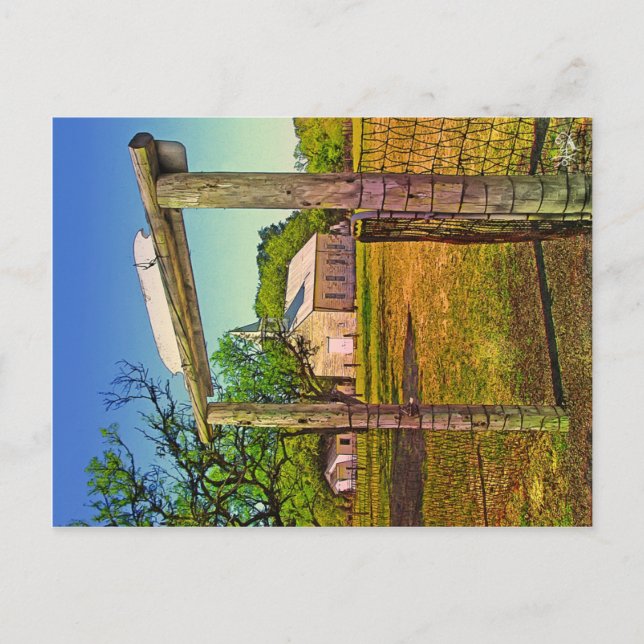 St. John's Lutheran Church, Crabapple, TX Postcard (Front)