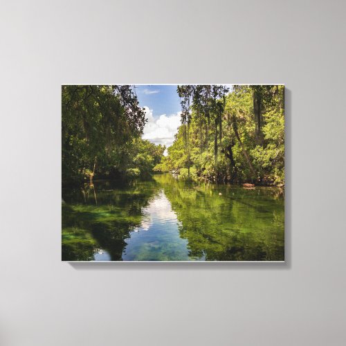 St Johns River Florida Reflections Canvas Print