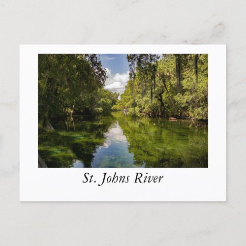 St Johns River Postcard