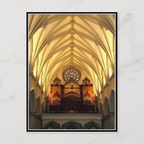 St Josephs Cathedral _ Choir Loft  Organ Pipes Postcard