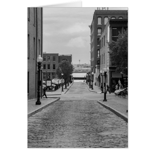 St Louis Alley Grayscale (Front)