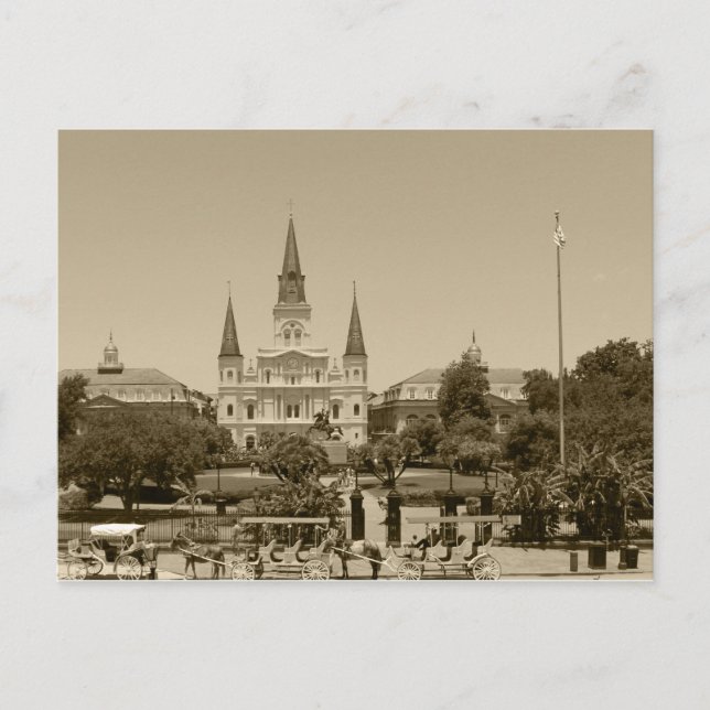 St. Louis Cathedral, New Orleans Postcard (Front)