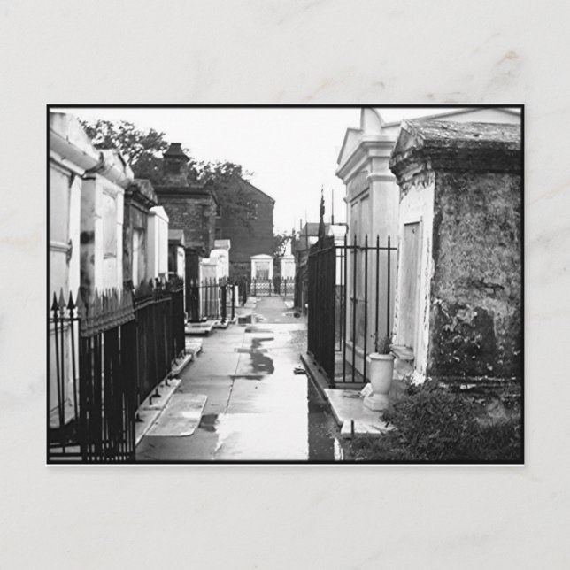 St. Louis Cemetery No. 1 Postcard (Front)