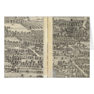 St. Louis, Missouri 11