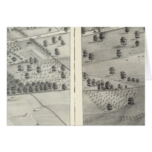 St. Louis, Missouri 24 (Front Horizontal)