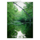 St. Marks River (Front)