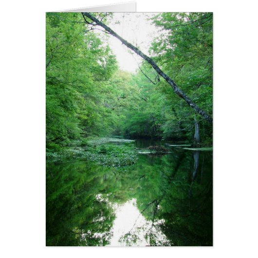 St. Marks River (Front)