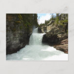 St. Mary Falls at Glacier National Park Postcard