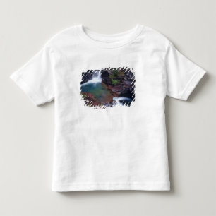 St Mary Falls in Glacier National Park in Toddler T-shirt
