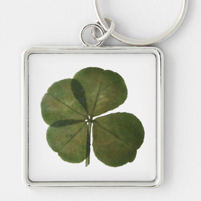 St Patrick Real 4 Leaf Clover Get Lucky Keychain (Front)