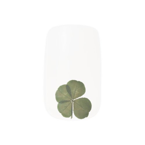 St Patrick Real 4 Leaf Clover Get Lucky Nail Minx Nail Art