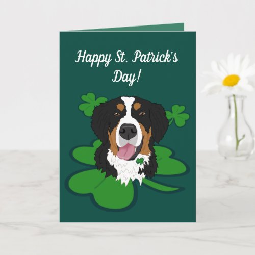 St Patricks Day Bernese Mountain Dog  Card