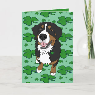 St. Patrick’s Day Bernese Mountain Dog Holiday Card