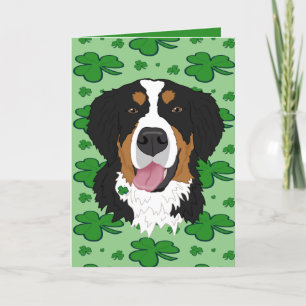 St. Patrick’s Day Bernese Mountain Dog Holiday Card