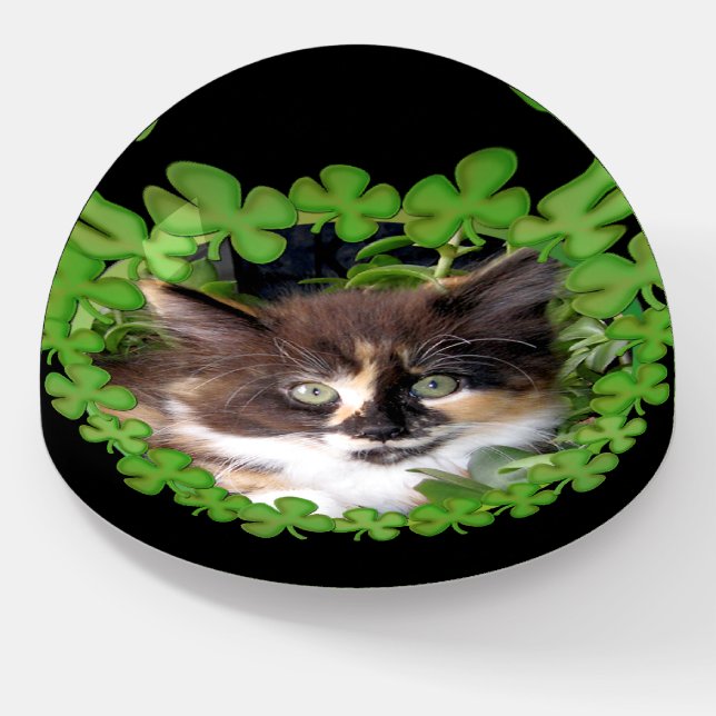 St. Patrick’s Day Lucky Kitten Paperweight (Angled)