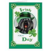 St. Patrick's Day Bouvier (Front)