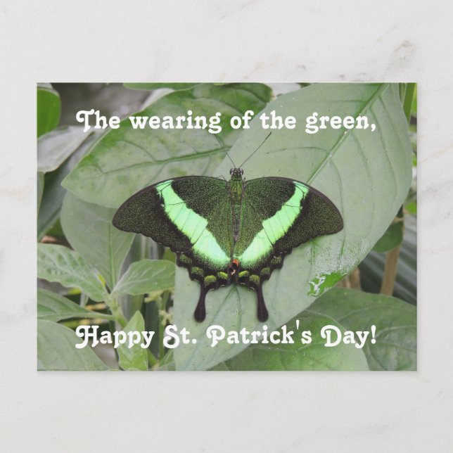 St. Patrick's Day Butterfly Postcard (Front)