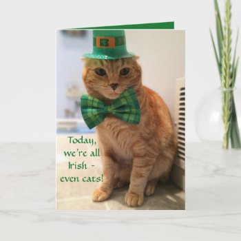 St. Patrick's Day Card Featuring A Cute Cat by CrazyTabby at Zazzle