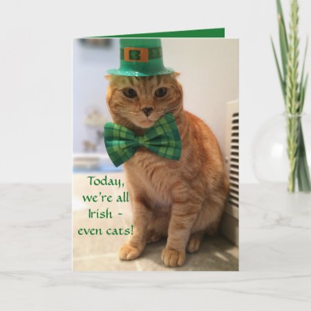 St. Patrick's Day Card Featuring A Cute Cat