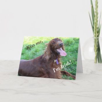 St. Patrick's Day Card Featuring An Irish Setter by CrazyTabby at Zazzle