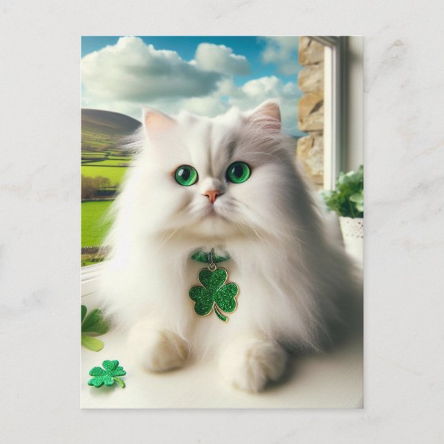 St. Patricks Day Cat Fluffy White Cat Green Eyes Postcard (Front)