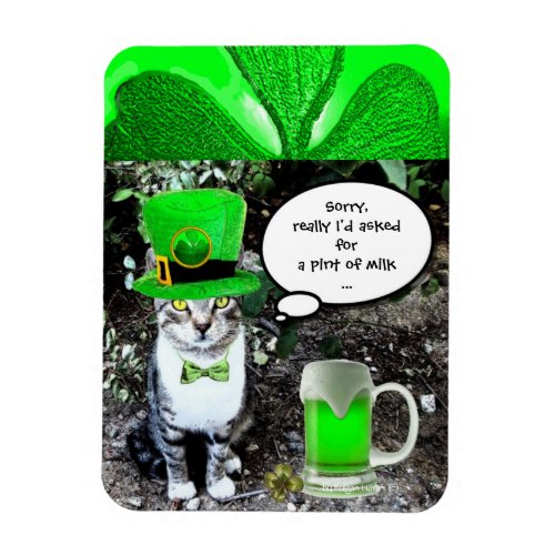 ST PATRICKS  DAY CAT  WITH GREEN IRISH BEER MAGNET