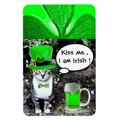 ST PATRICKS  DAY CAT  WITH GREEN IRISH BEER MAGNET
