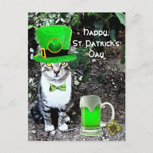 ST PATRICKS DAY CAT WITH GREEN IRISH BEER POSTCARD