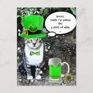 ST PATRICK'S DAY CAT WITH GREEN IRISH BEER POSTCARD