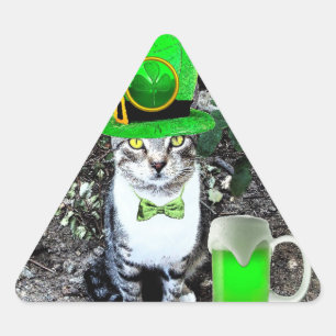 ST PATRICK'S  DAY CAT  WITH GREEN IRISH BEER TRIANGLE STICKER