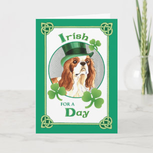 St. Patrick's Day Cavalier Card