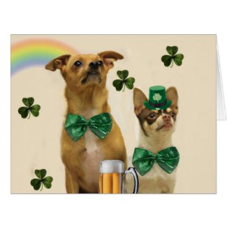 St. Patrick's Day Chihuahuas Card