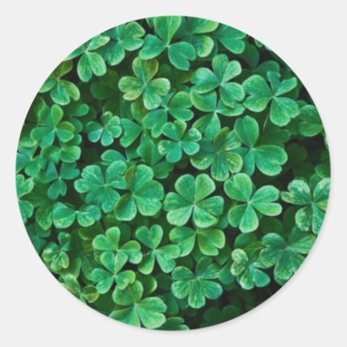 St Patricks Day Clover patch Classic Round Sticker