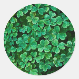 St. Patrick's Day Clover patch Classic Round Sticker