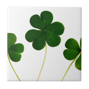 st patricks day clover shamrock ceramic tile