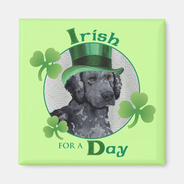St. Patrick's Day Curly-Coated Retriever Magnet (Front)