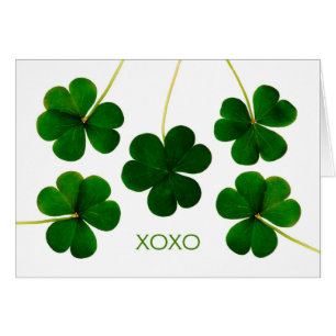 St. Patrick's Day for Boyfriend, XOXO Shamrocks Cards