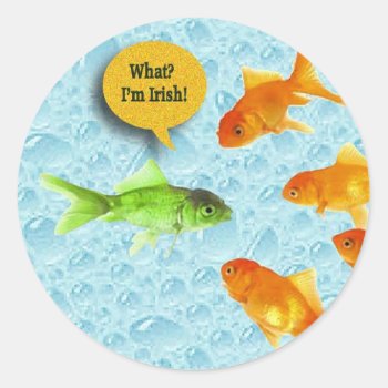St. Patrick's Day  Goldfish Humor Classic Round Sticker by toots1 at Zazzle