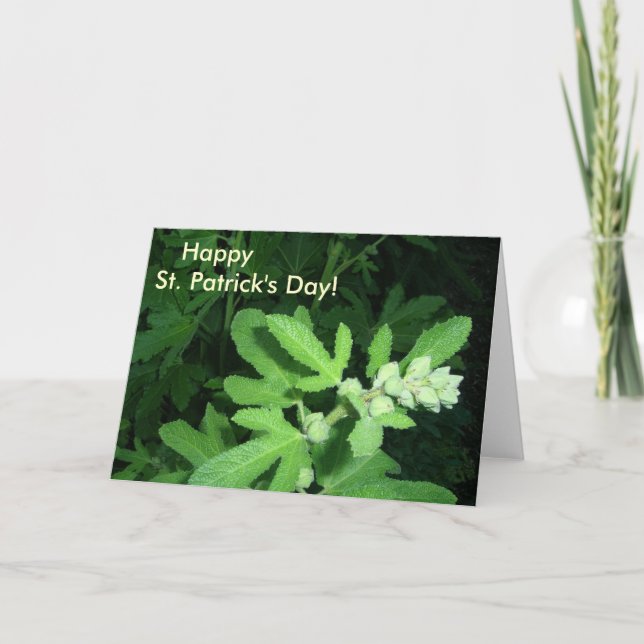 St. Patrick's Day Green Plant Card (Front)