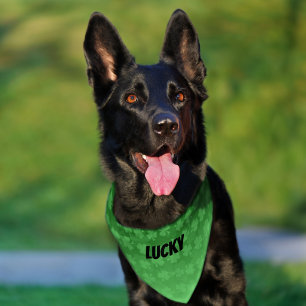 St Patrick's Day green shamrocks ombre custom name Pet Bandana Collar