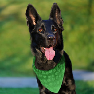 St. Patrick's Day green shamrocks ombre pattern Pet Bandana Collar