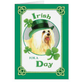 St. Patrick's Day Havanese (Front)