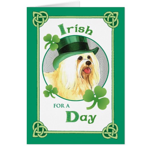St. Patrick's Day Havanese Cards (Front)
